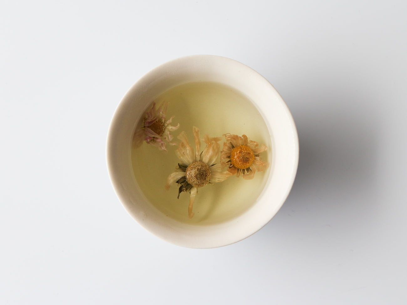 Wild Chrysanthemum Tea