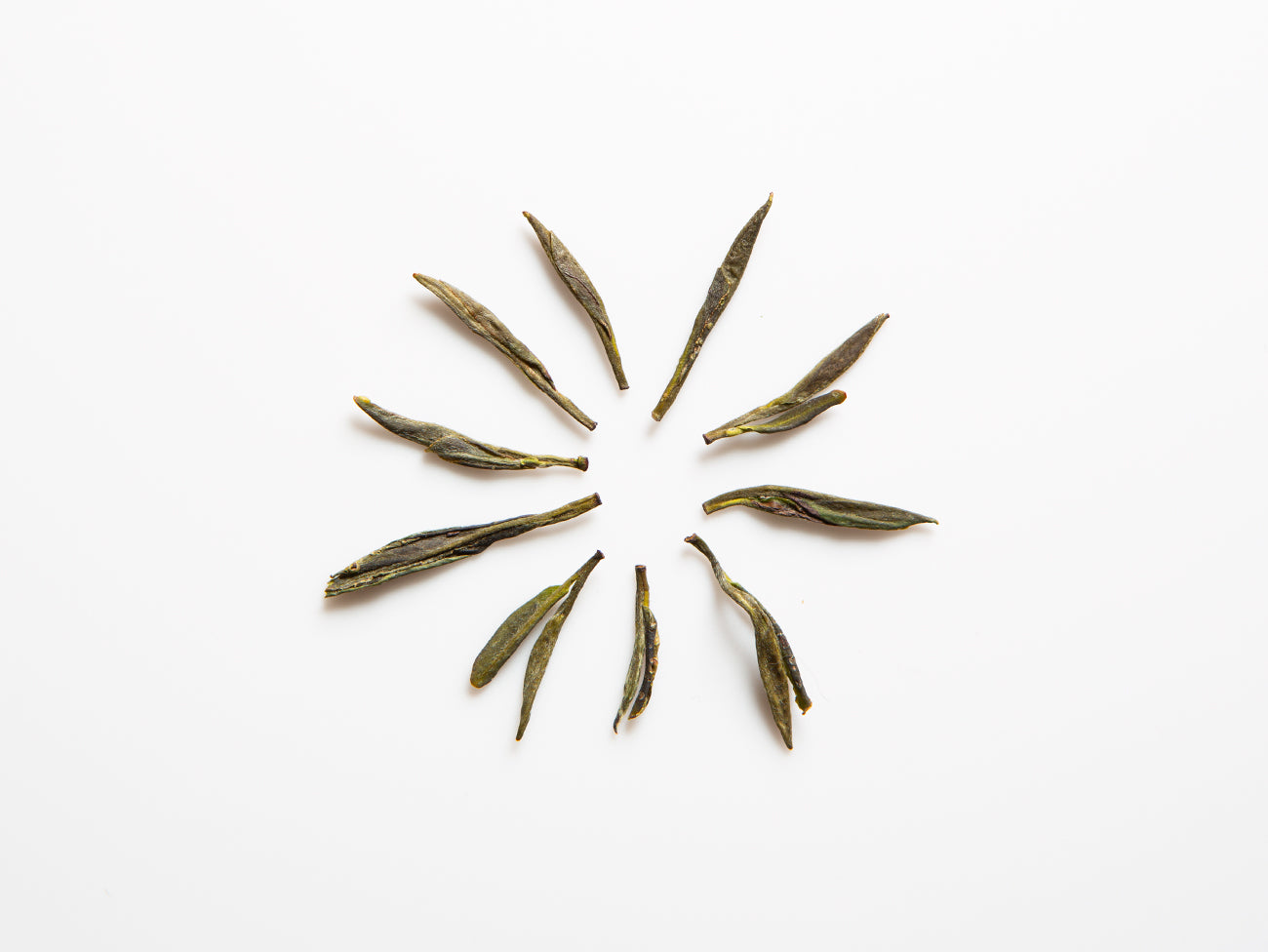Gold Peony, green tea. dry leaf.