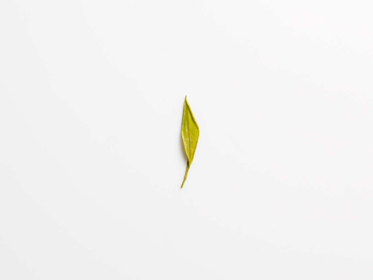 Hunan Cai Cha, green tea.