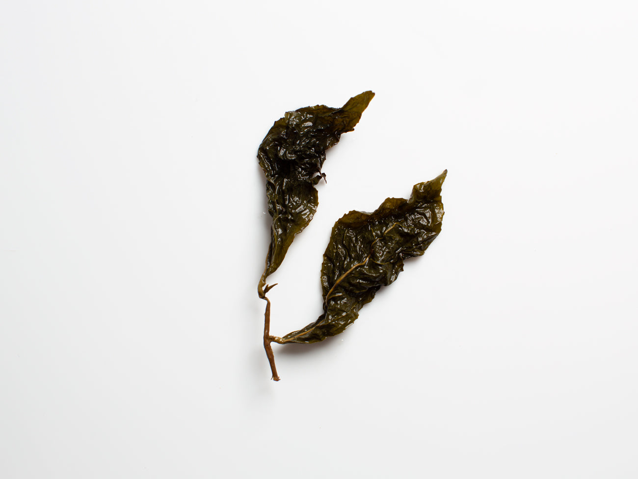 The Chen's 2 Day Oolong