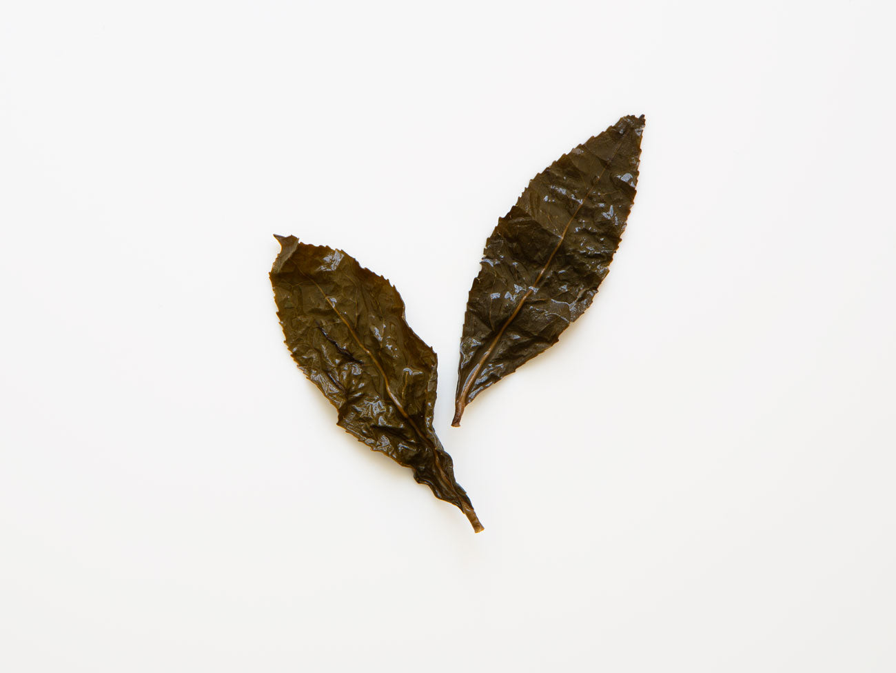 April 30 Amber. Charcoal Roasted Oolong. Shan Lin Xi.