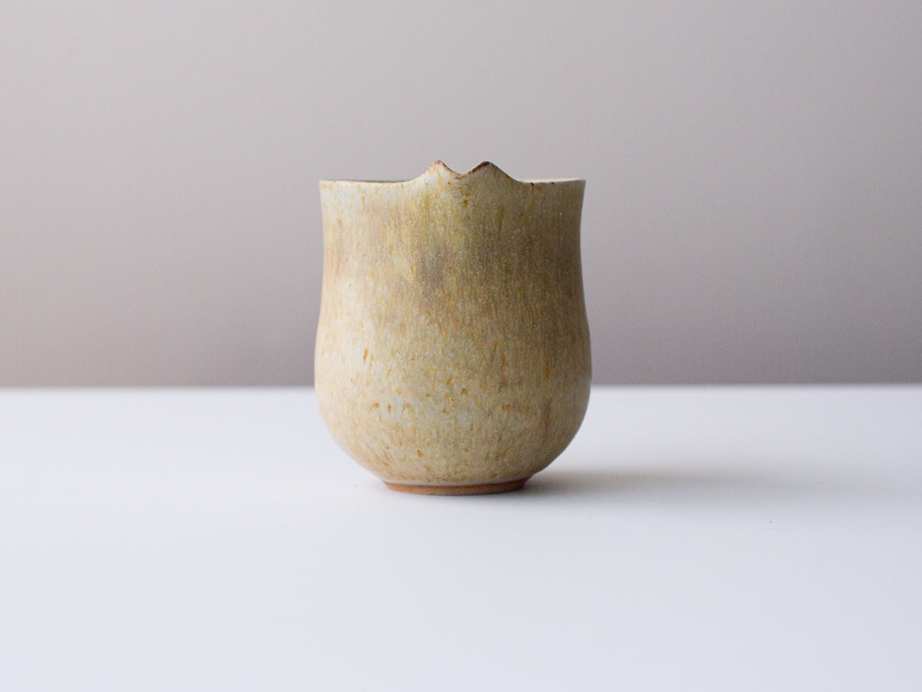 Ochre tea server for gongfu tea service. Zhang Hao Yan.