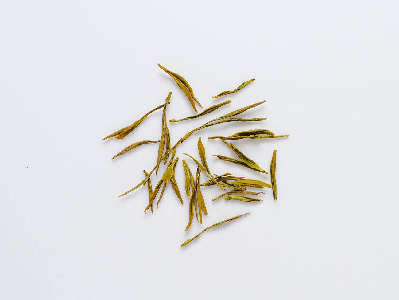 Huang Mudan, shot of dry leaves.