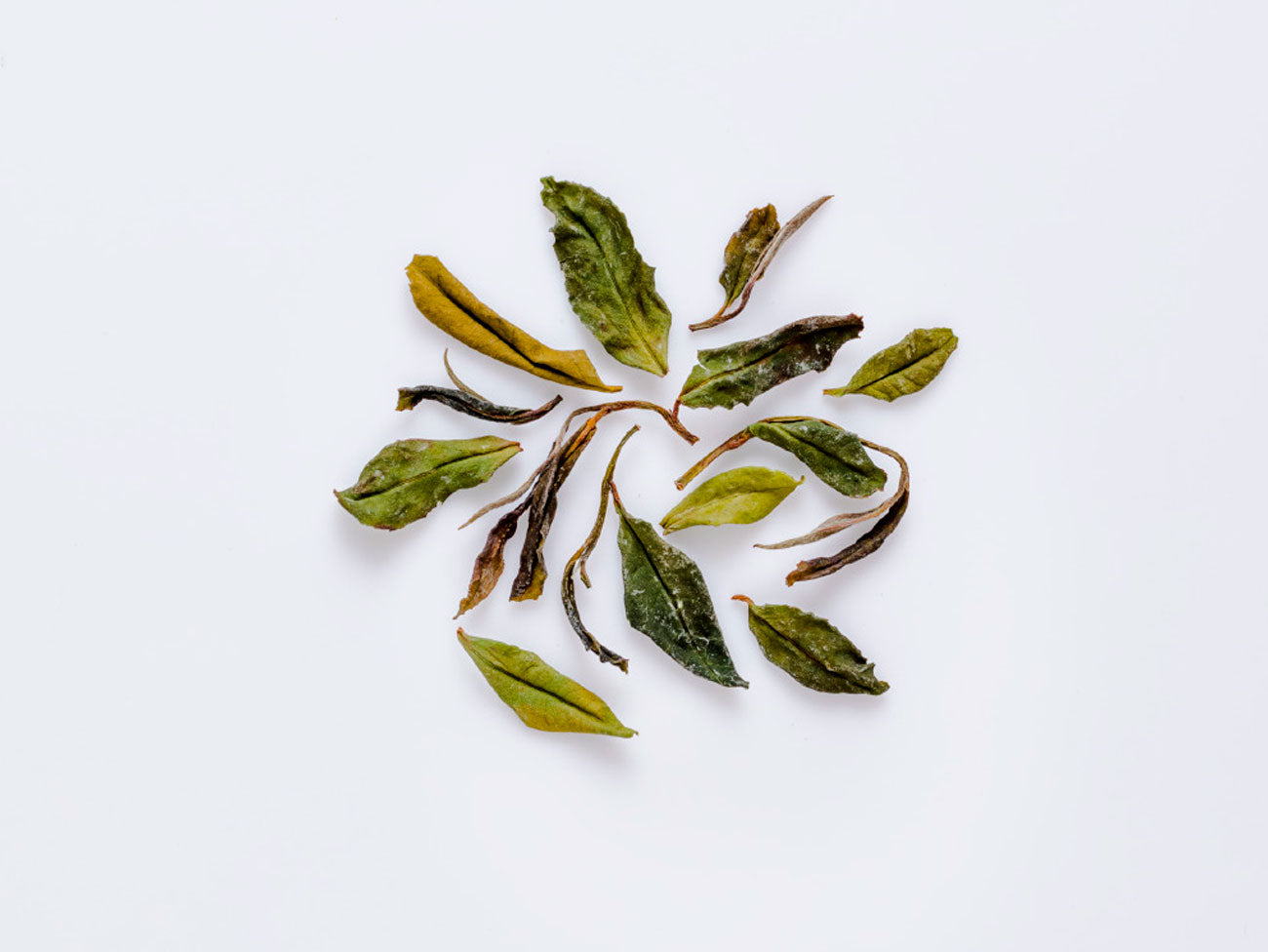 Gold Guanyin White Tea.