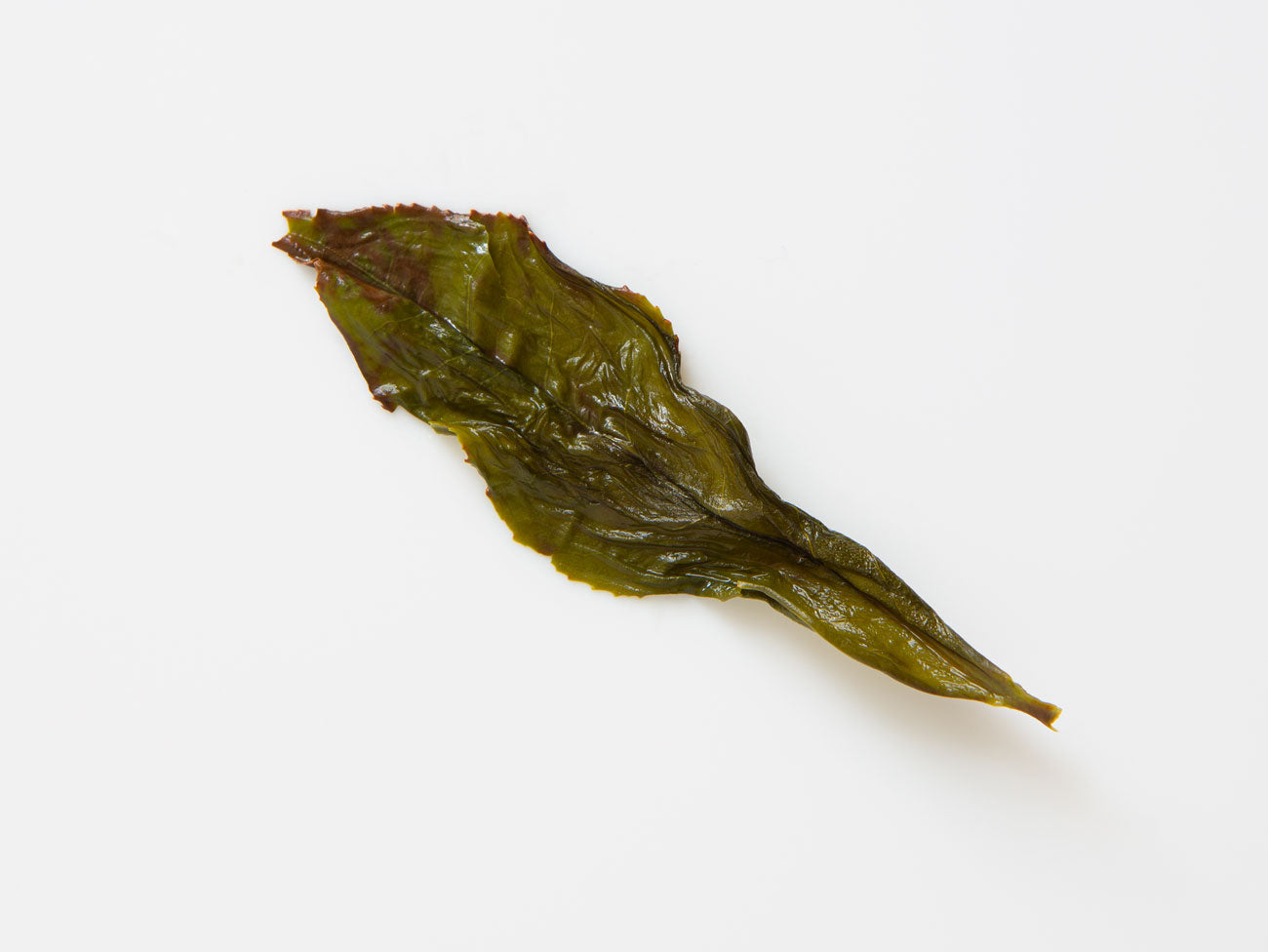 Big Leaf Shuixian. wow, that's a big leaf!