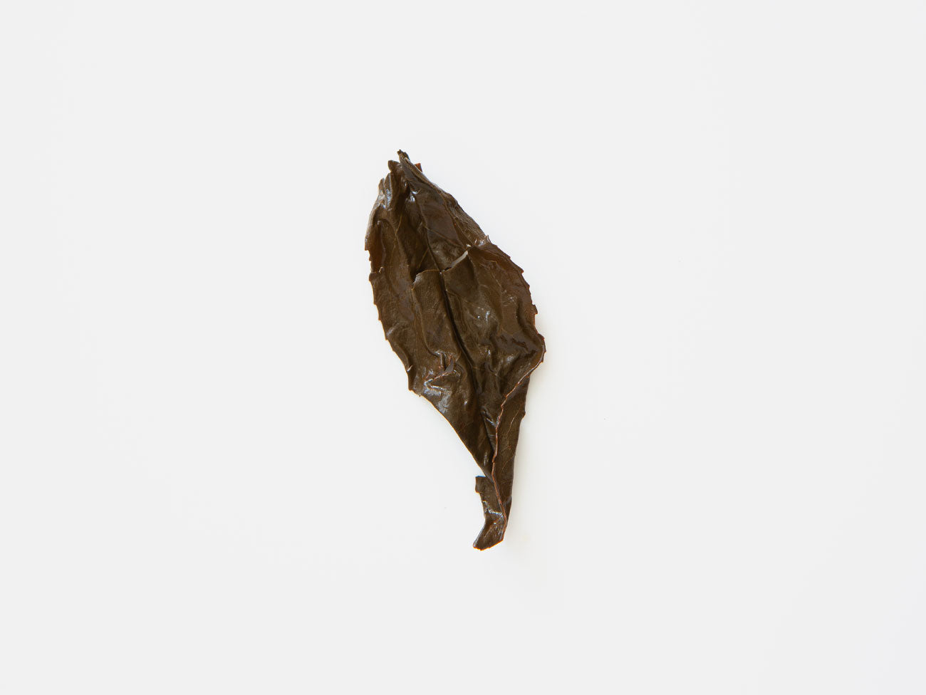 Shuixian Red. wet leaf.