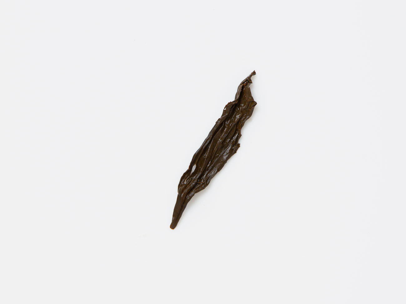 Aged Shuixian Red, wet leaf.