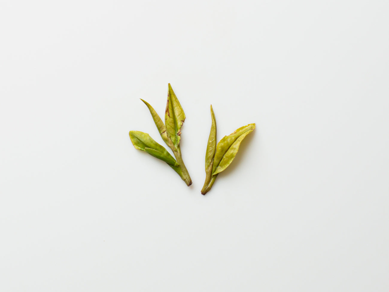 White Dragonwell