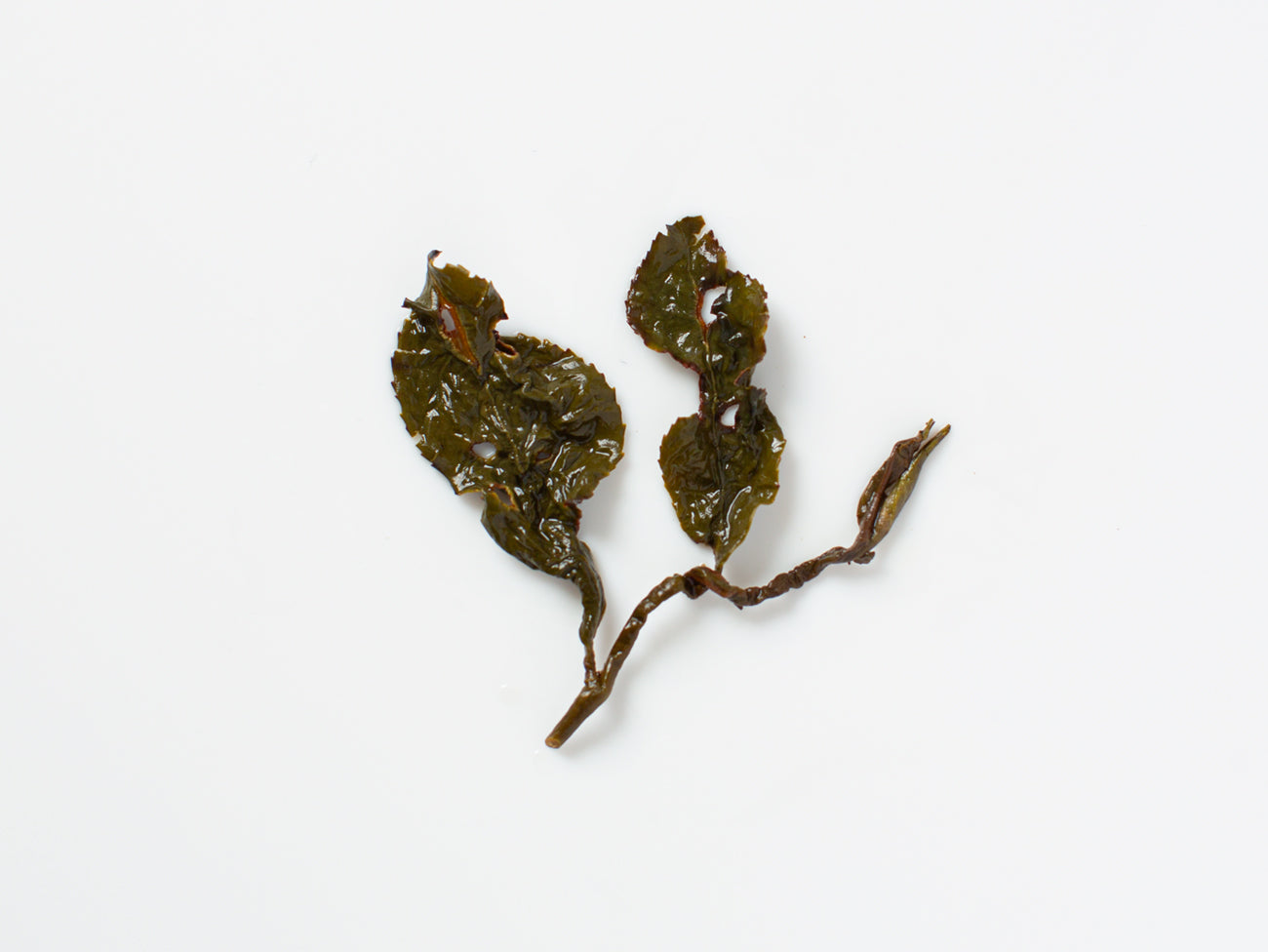 Oolong Tea Collection – Song Tea & Ceramics