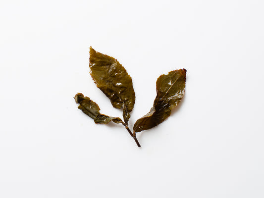 April 27 Amber. Charcoal Roasted Oolong. Shan Lin Xi.