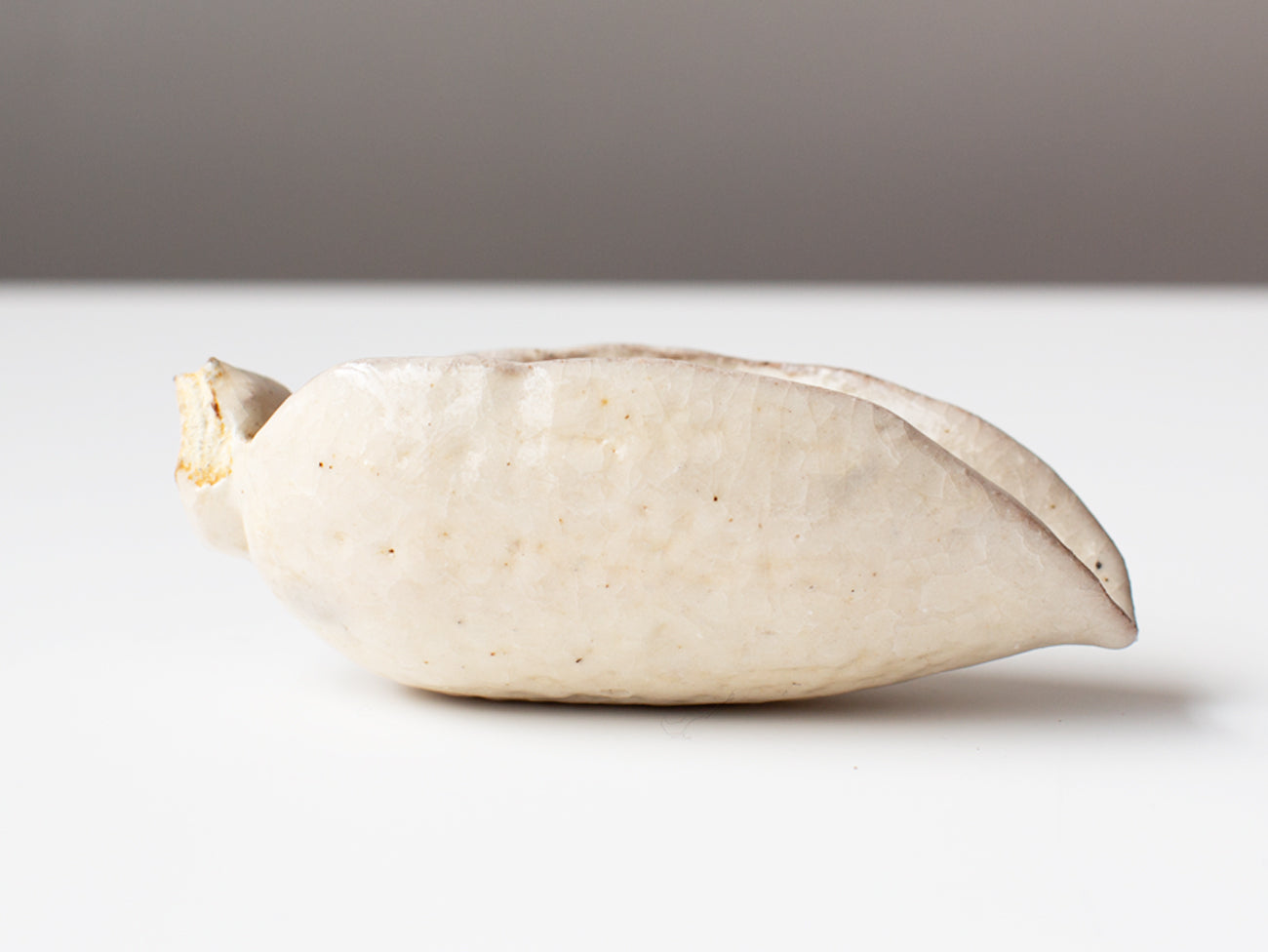 Lotus Petal Tea Scoop