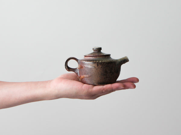 14 Day Fired Teapot, No. 3