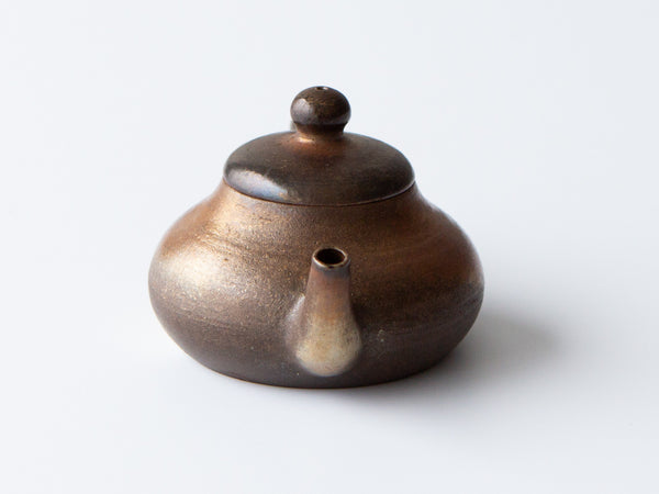 Bronze Teapot, No. 5