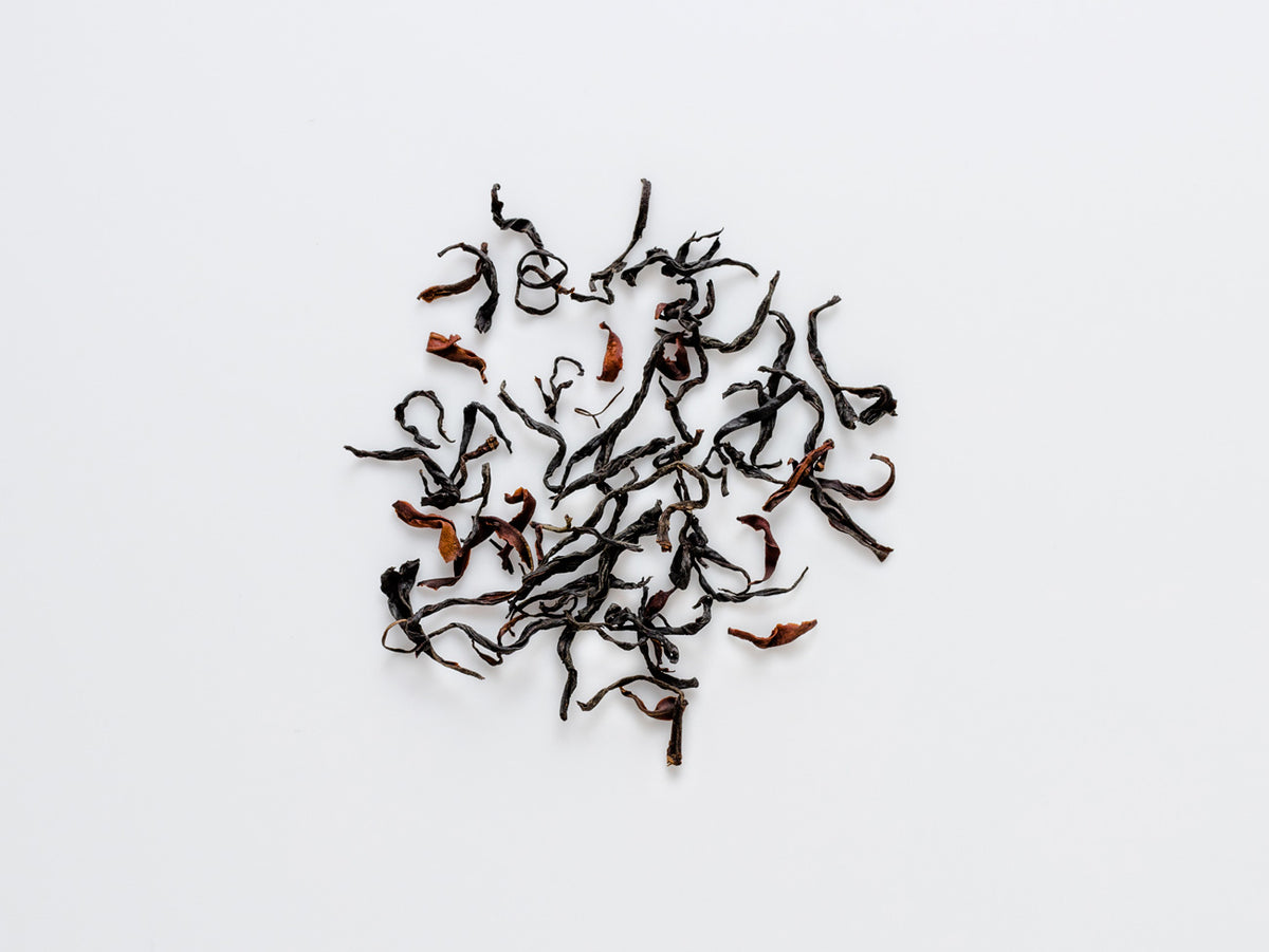 Redshank Tree Tea Wild Tree Yunnan Red – Song Tea & Ceramics