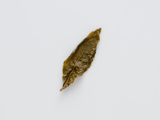 Red water Tieguanyin, wet leaf.
