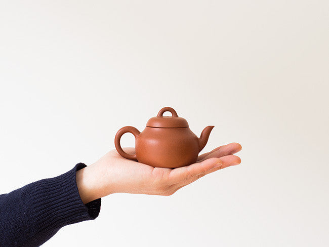 Mini Teapot, White Fuyu – Song Tea & Ceramics